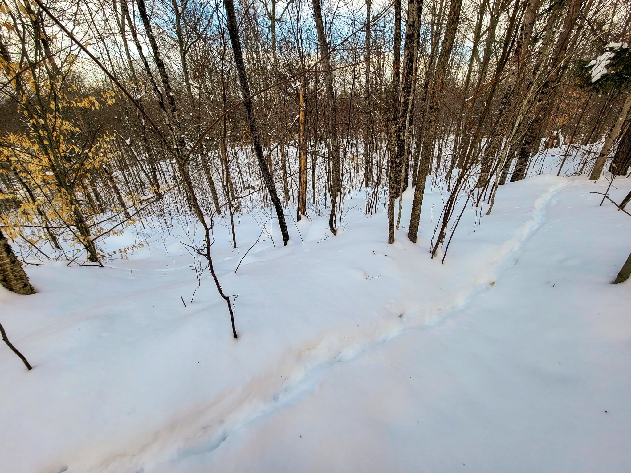 355 Davis Road Marshfield, VT 05667 - Photo 38 of 40
