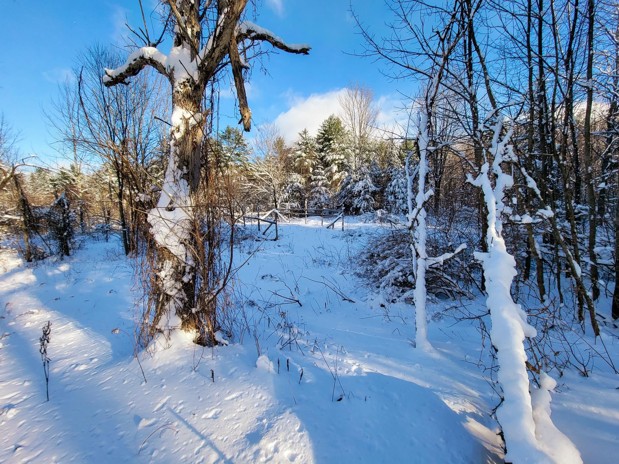 355 Davis Road Marshfield, VT 05667 - Photo 39 of 40