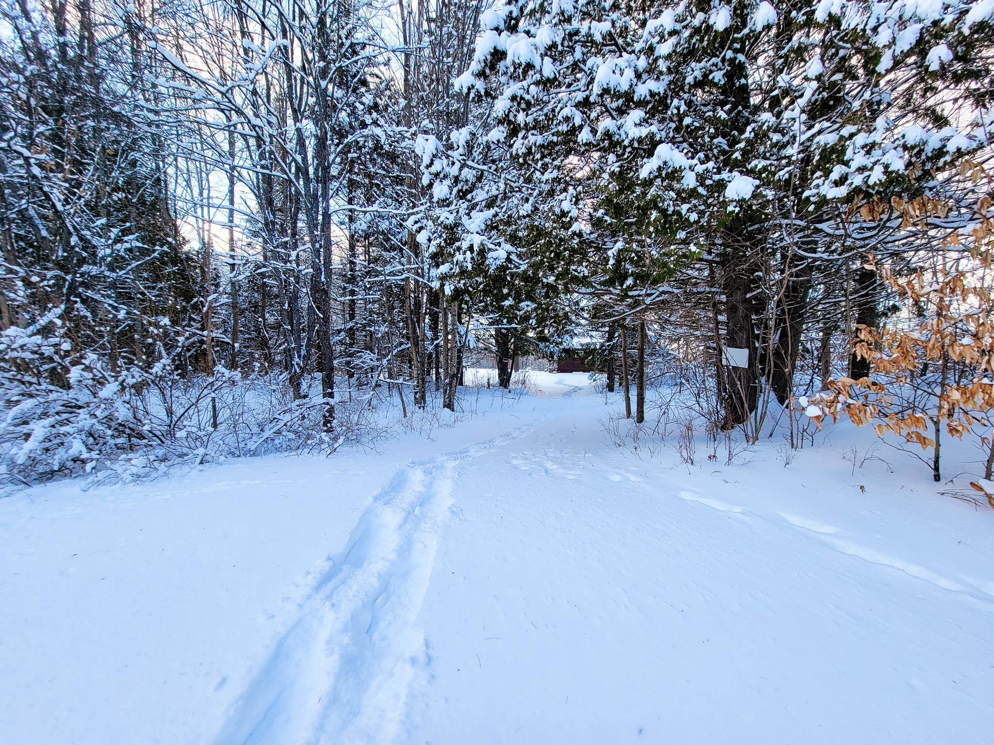 355 Davis Road Marshfield, VT 05667 - Photo 40 of 40