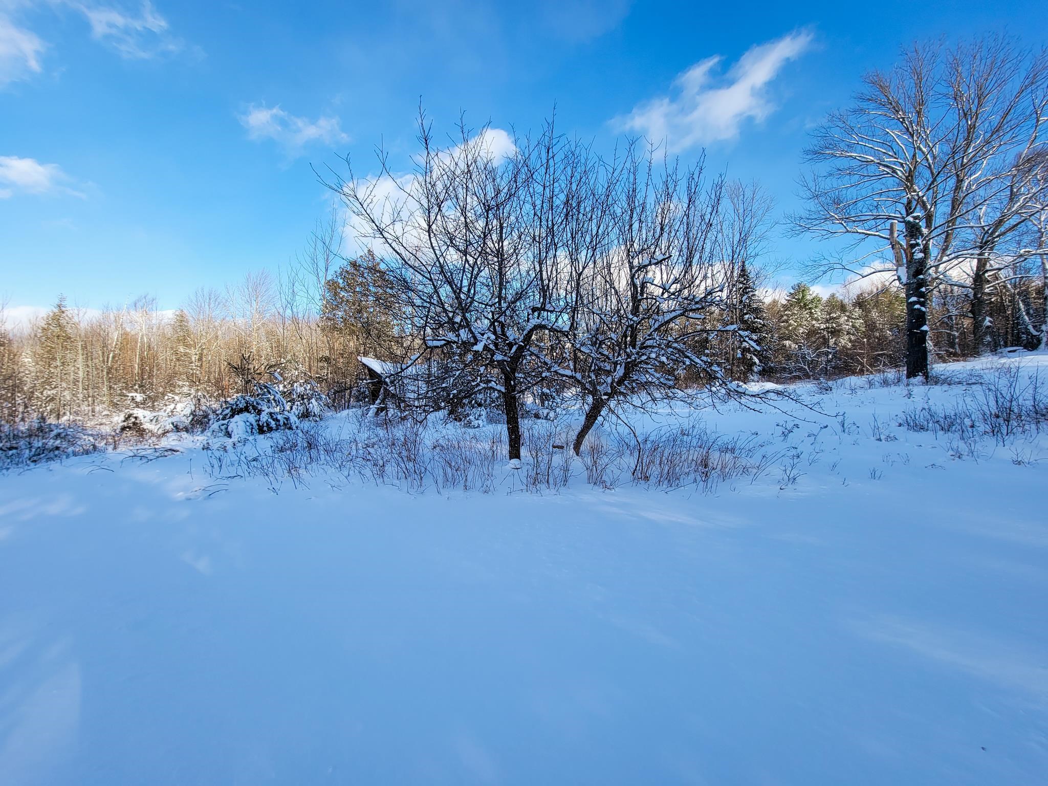 355 Davis Road Marshfield, VT 05667 - Photo 5 of 40