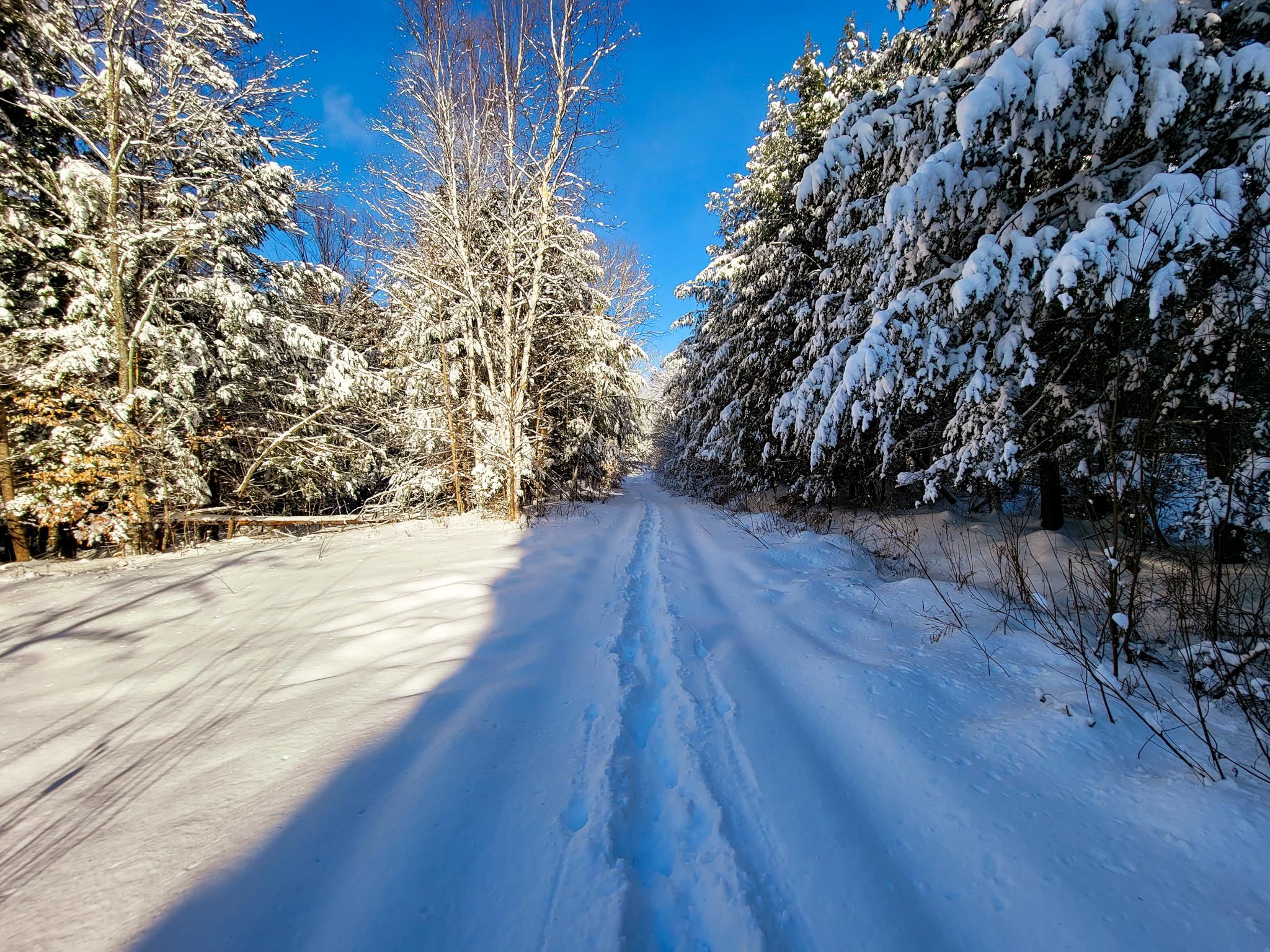 355 Davis Road Marshfield, VT 05667 - Photo 8 of 40