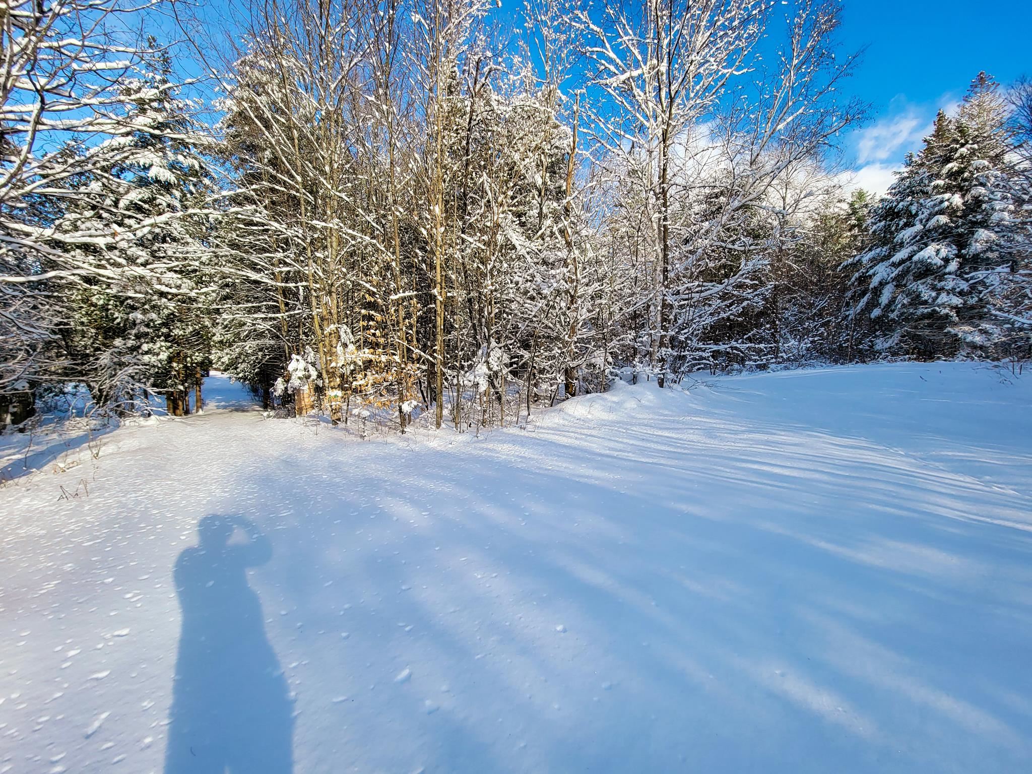 355 Davis Road Marshfield, VT 05667 - Photo 9 of 40