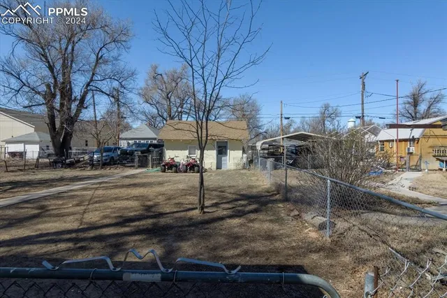 a street view with large trees