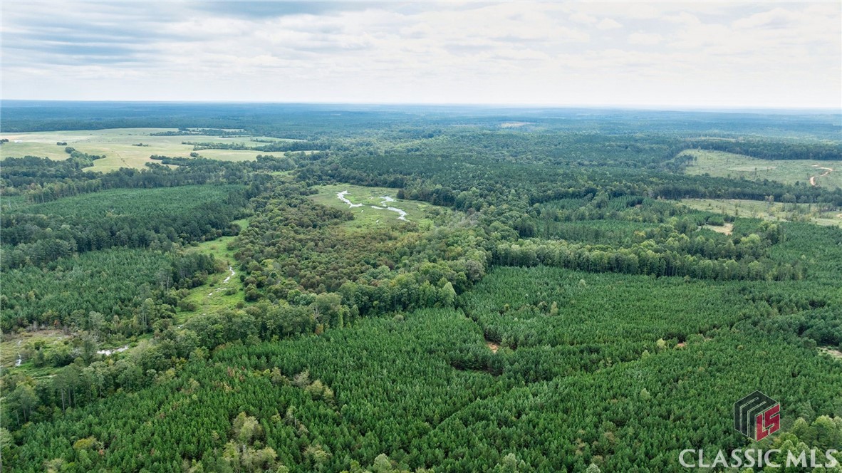 0 Bairdstown Loop Union Point, GA 30669 - Photo 14 of 34