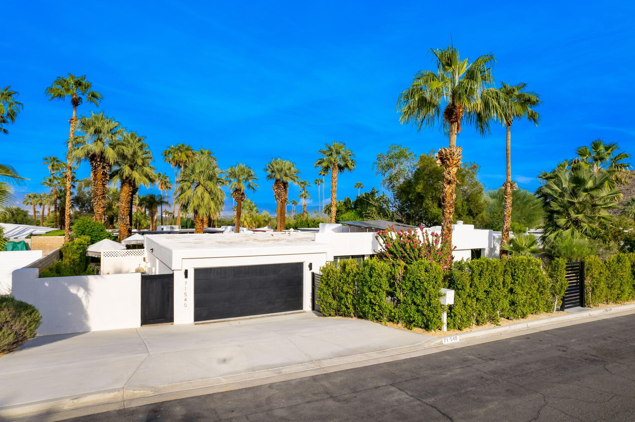 71540 Halgar Road Rancho Mirage, CA 92270 - Photo 38 of 51 a view of outdoor space with potted plants