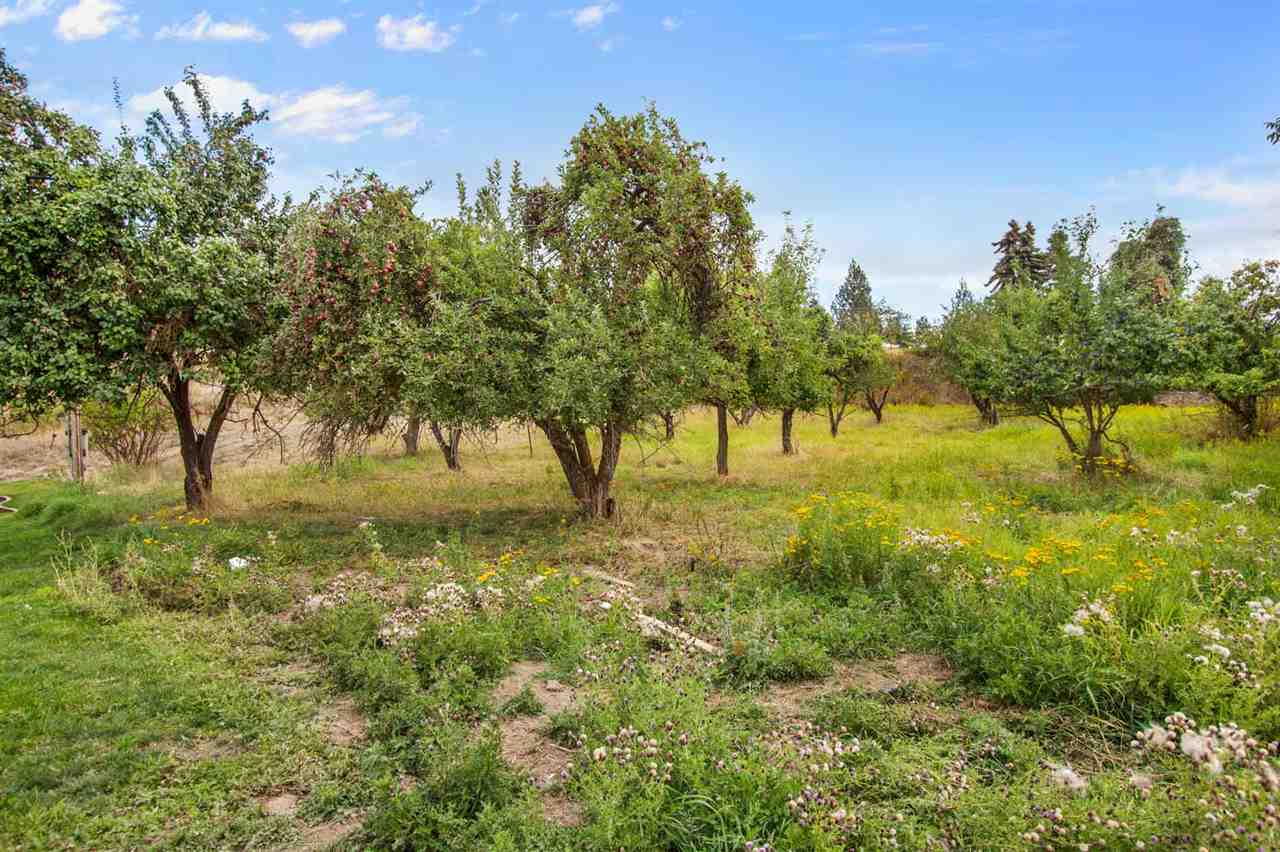 16223 North Dalton Road Spokane, WA 99208 - Photo 20 of 20