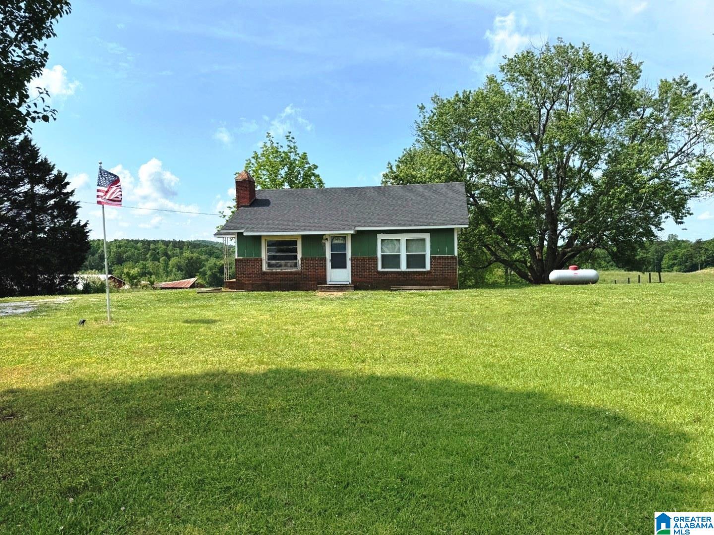 223 Mountain View Road Ashland, AL 36251 - Photo 2 of 12