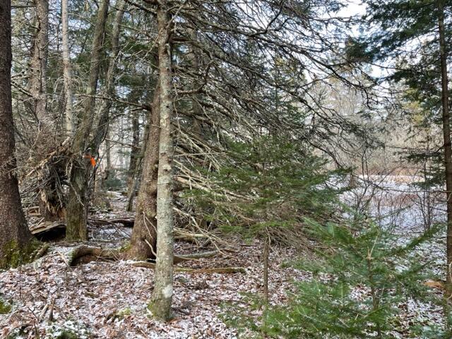 1065 Straight Bay Road Lubec, ME 04652 - Photo 86 of 121 IMG_4437