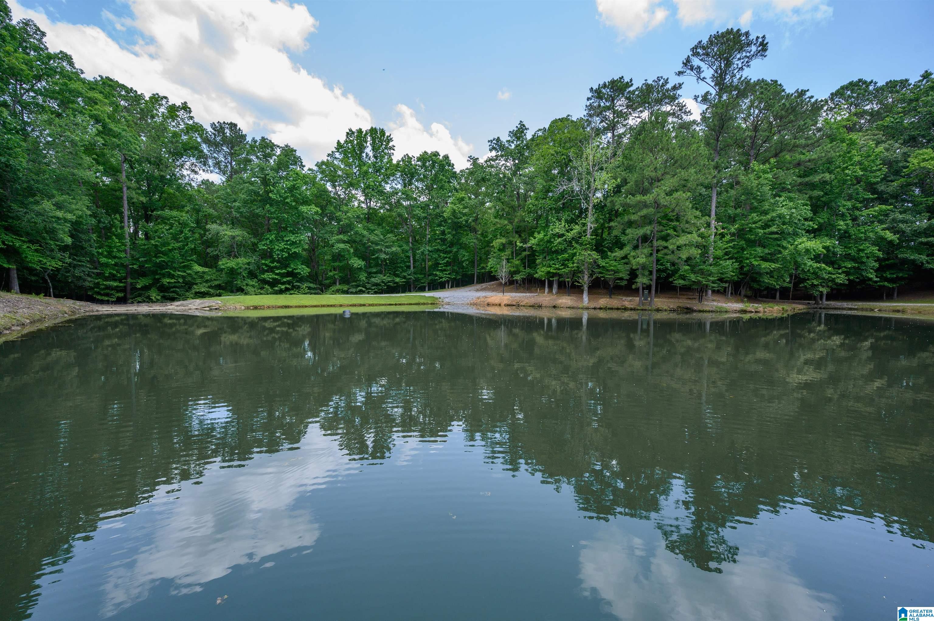 517 Hodgens Road Chelsea, AL 35043 - Photo 61 of 79