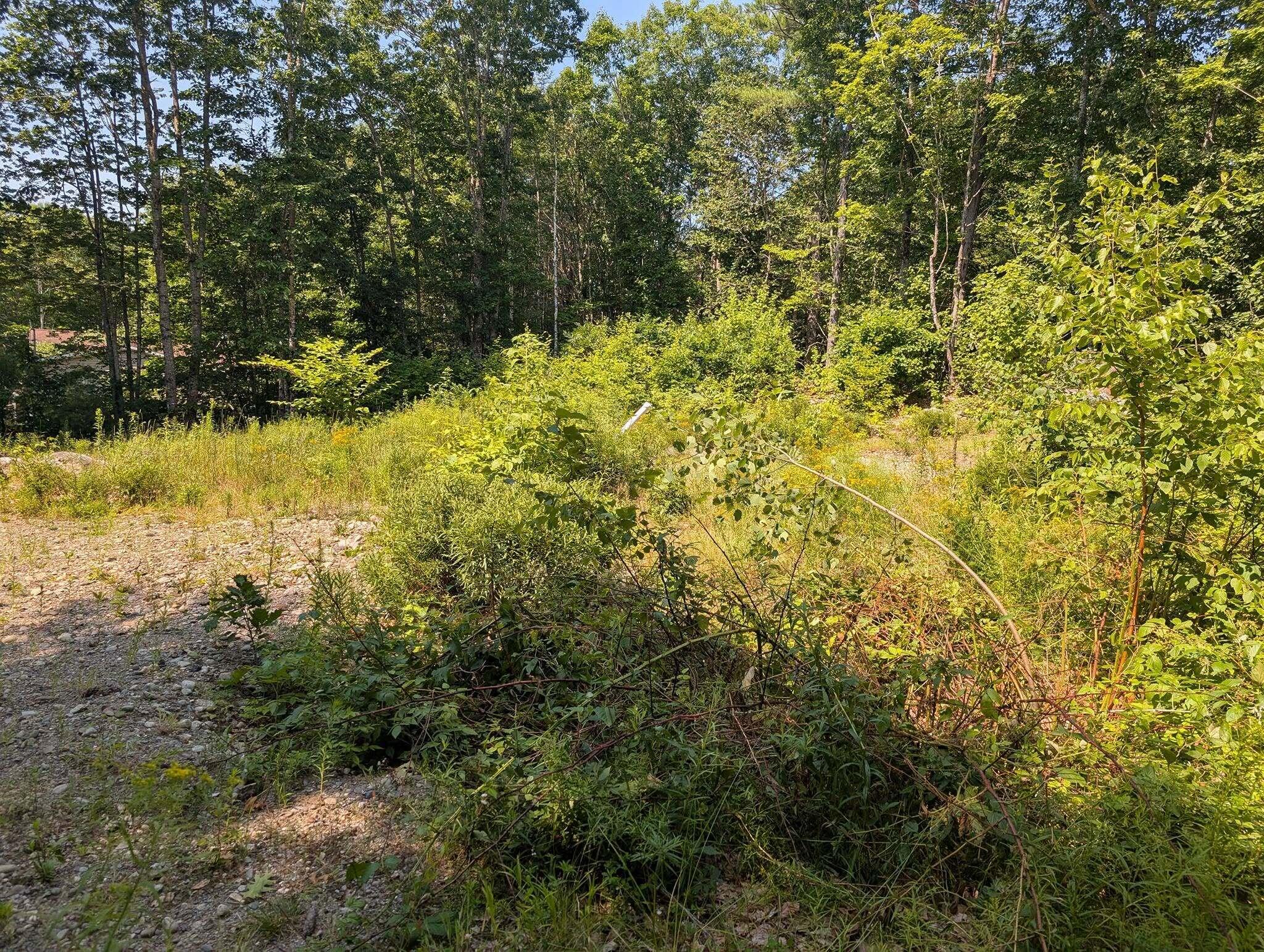 234 Bolton Hill Road Augusta, ME 04330 - Photo 4 of 5 752881006_28286087737663698_337128798275
