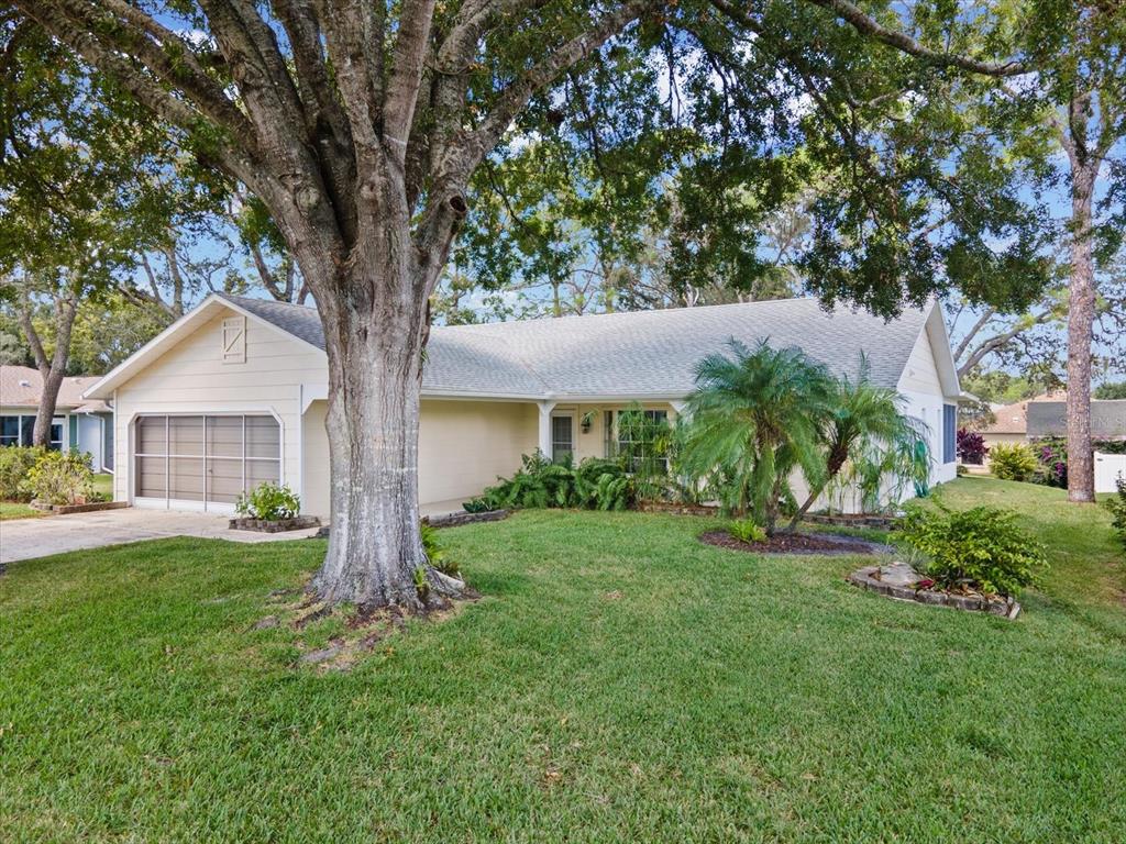 6393 Lost Tree Lane Spring Hill, FL 34606 - Photo 1 of 1 Gallery Image 1
