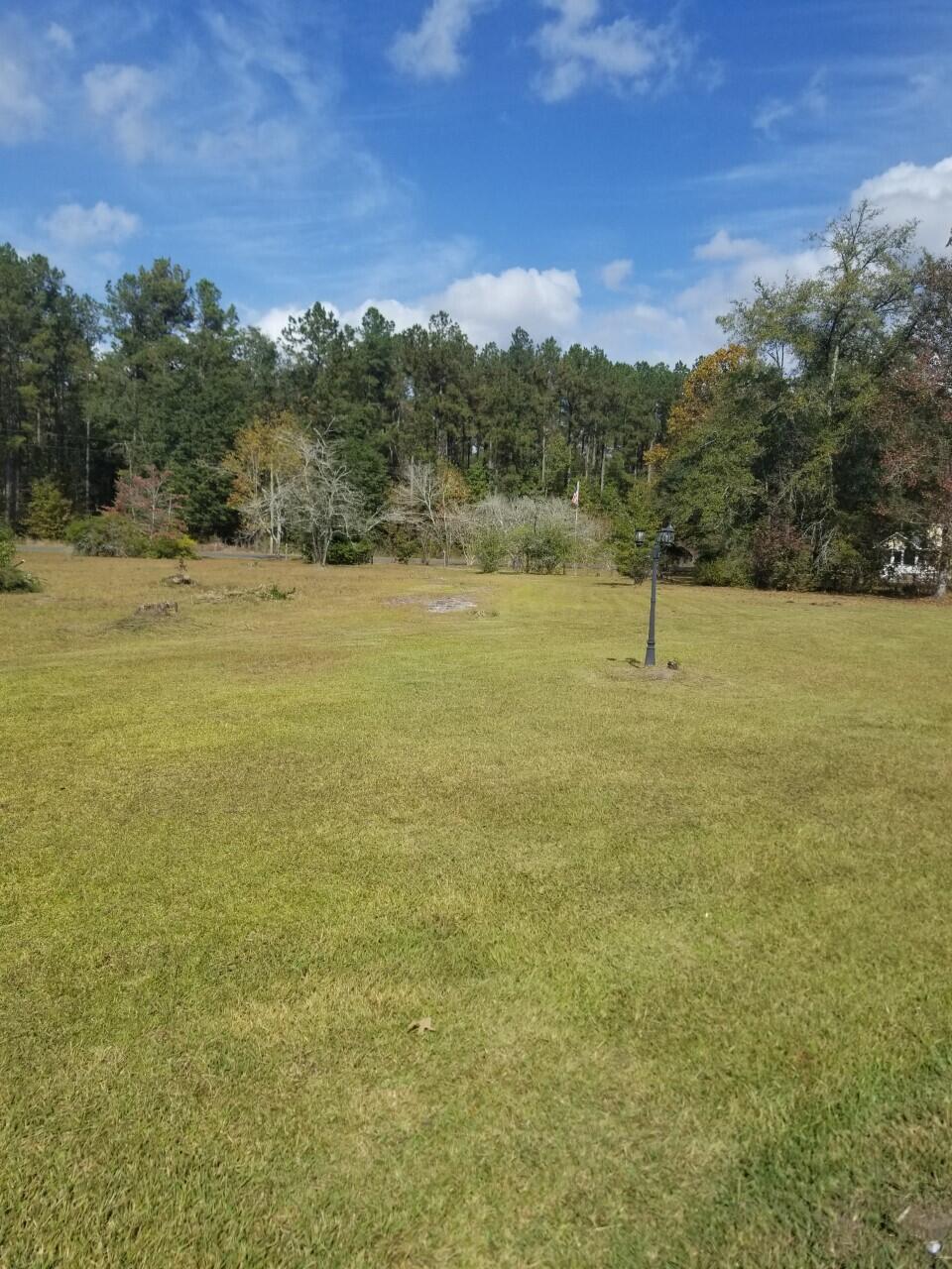 268 County Rd S-18-132 Dorchester, SC 29437 - Photo 6 of 7 mallard6
