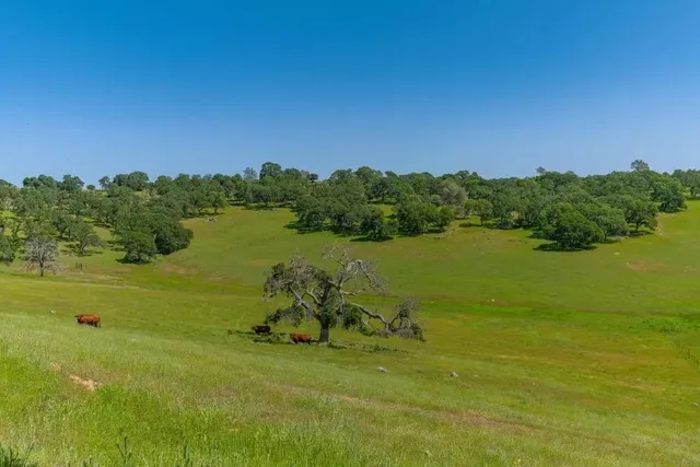 a view of a lake with a big yard