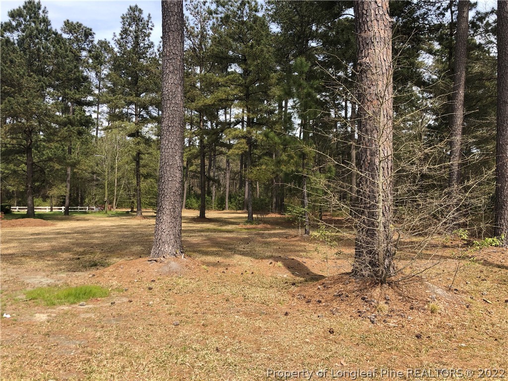 292 Rex Road St. Pauls, NC 28384 - Photo 26 of 35 Gallery Image 26