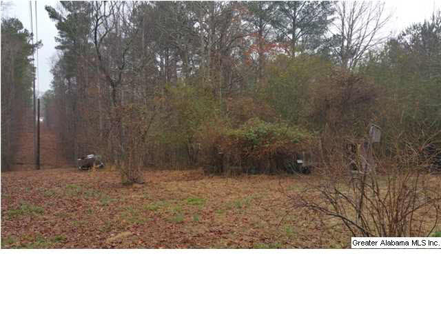 1607 Spring Road Ohatchee, AL 36271 - Photo 23 of 30