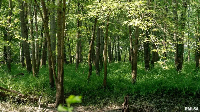 $142,000 | 29 Route Taylorville Il 62568, Taylorville, IL 62568