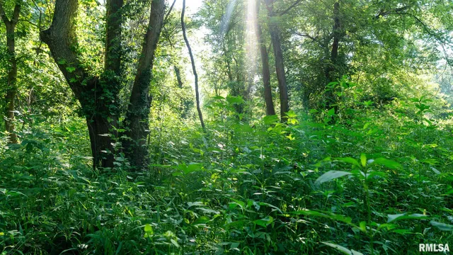 $142,000 | 29 Route Taylorville Il 62568, Taylorville, IL 62568