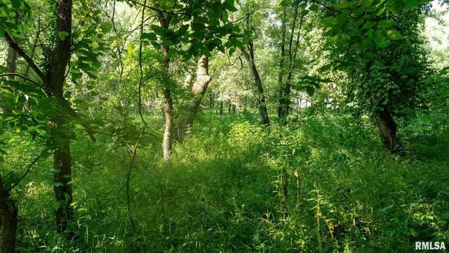 $142,000 | 29 Route Taylorville Il 62568, Taylorville, IL 62568