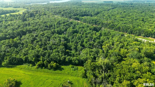 $142,000 | 29 Route Taylorville Il 62568, Taylorville, IL 62568