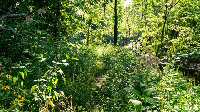 $142,000 | 29 Route Taylorville Il 62568, Taylorville, IL 62568