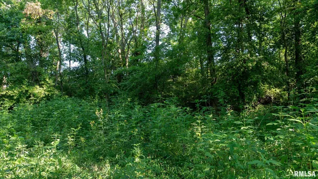 $142,000 | 29 Route Taylorville Il 62568, Taylorville, IL 62568