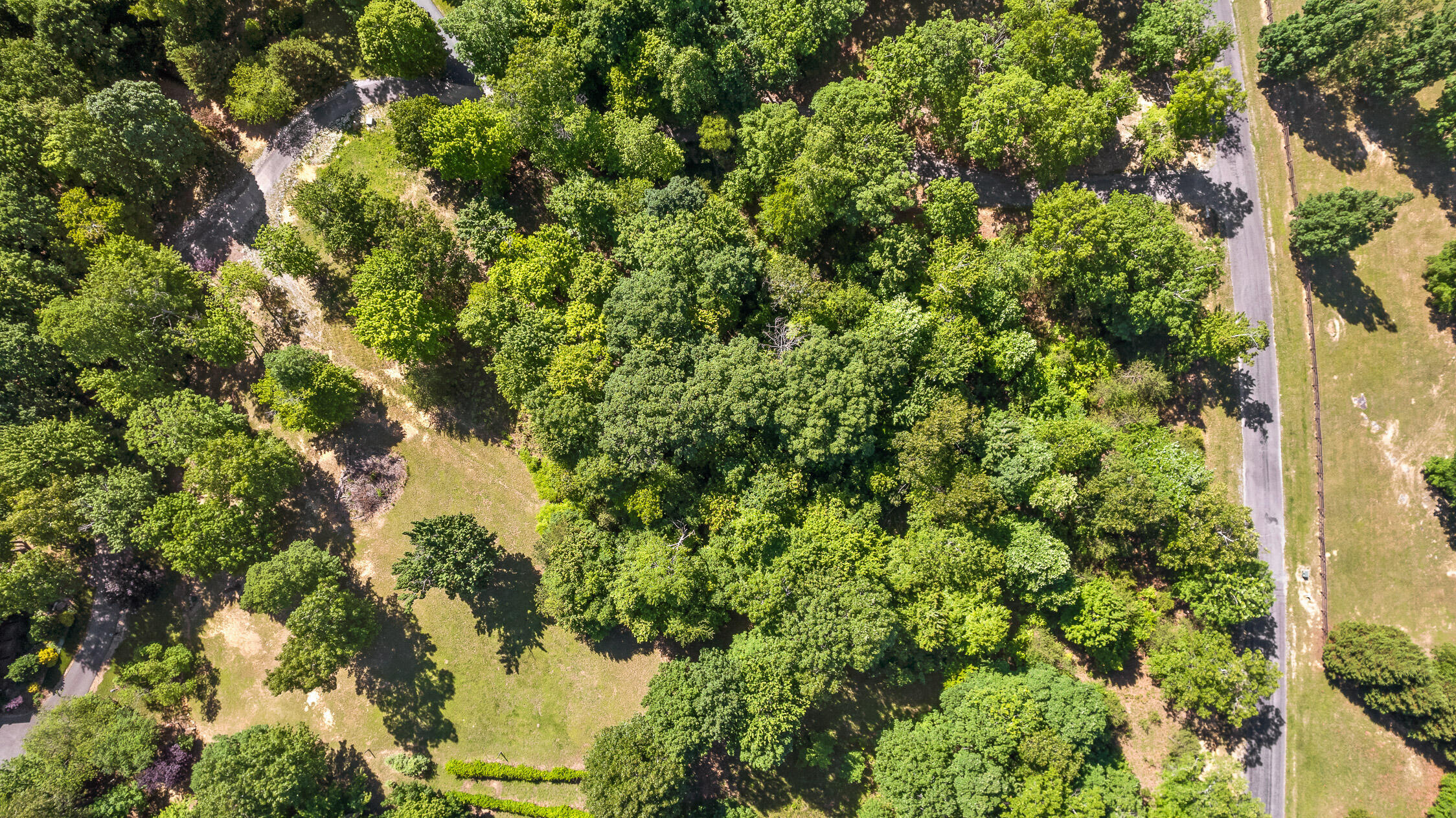 0 Fredonia Loop Dunlap, TN 37327 - Photo 13 of 40 Fredonia Mountain