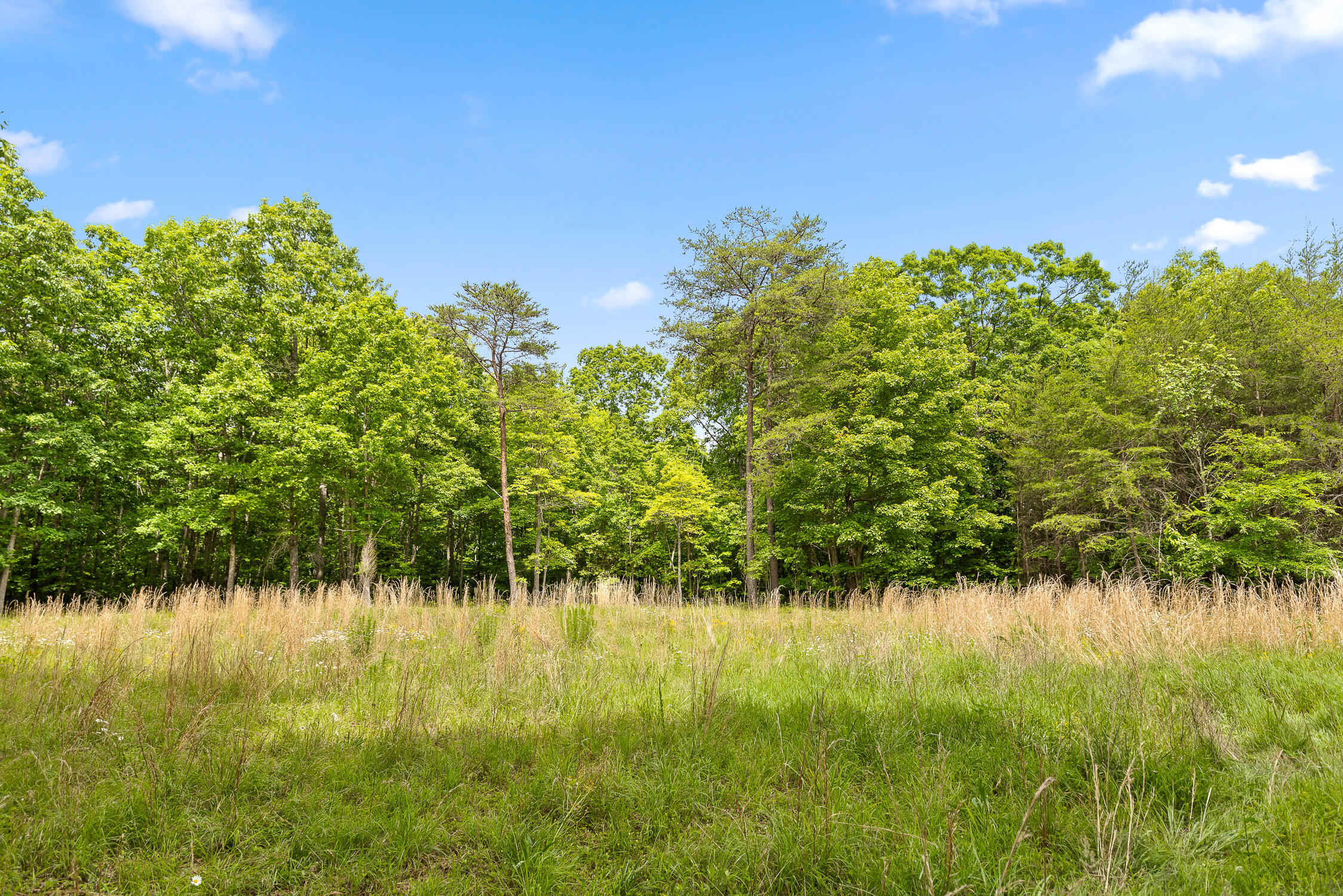 0 Fredonia Loop Dunlap, TN 37327 - Photo 23 of 40 Fredonia Mountain