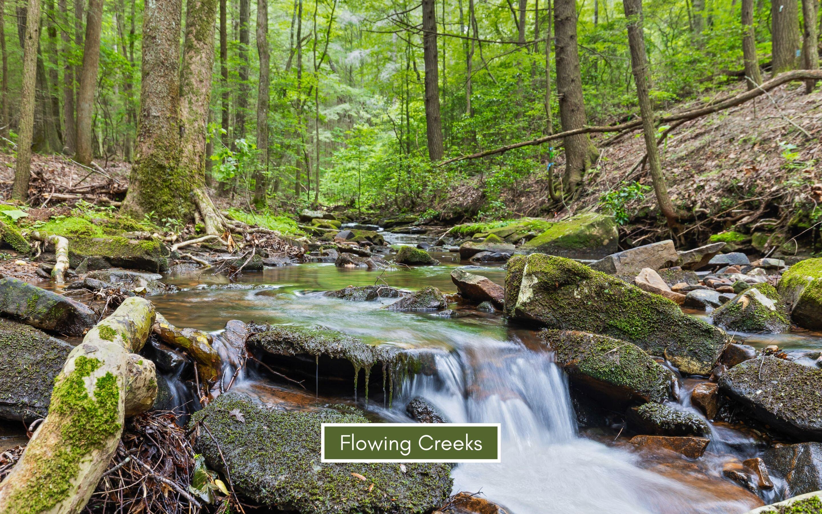 0 Fredonia Loop Dunlap, TN 37327 - Photo 38 of 40 Numerous Creeks