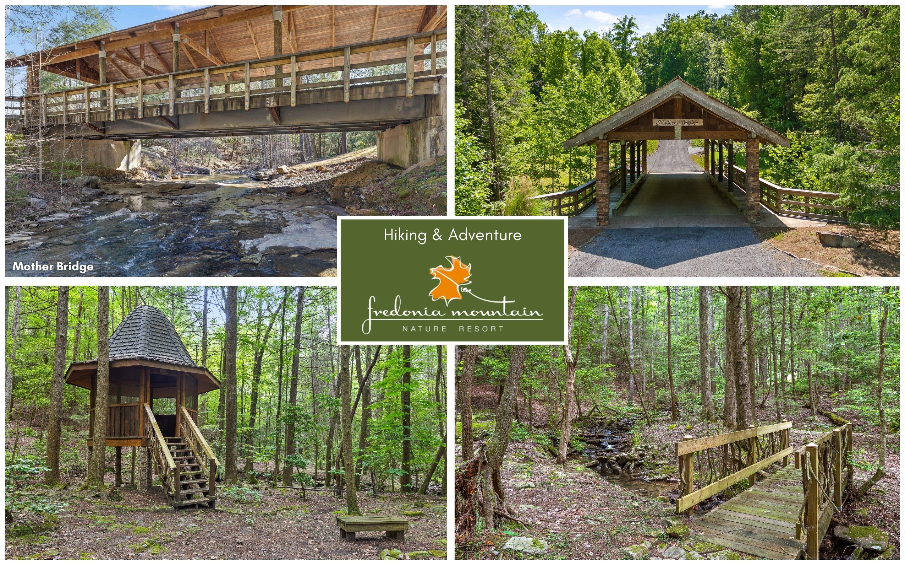 0 Fredonia Loop Dunlap, TN 37327 - Photo 10 of 40 Outdoor Adventure