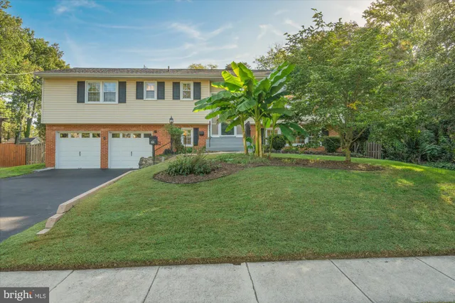 a view of a trees in a yard