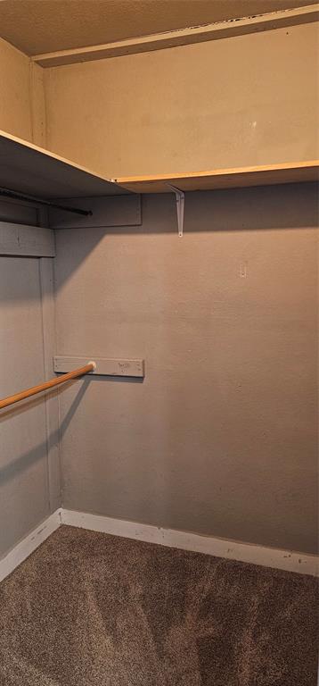 700 Live Oak Road Canton, TX 75103 - Photo 17 of 28 a close view of closet