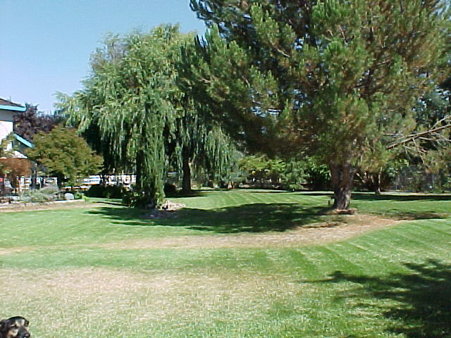 891 Spring Grove Road Hollister, CA 95023 - Photo 5 of 11 Gallery Image 5