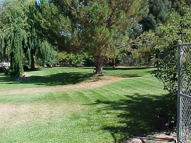 891 Spring Grove Road Hollister, CA 95023 - Photo 6 of 11 Gallery Image 6