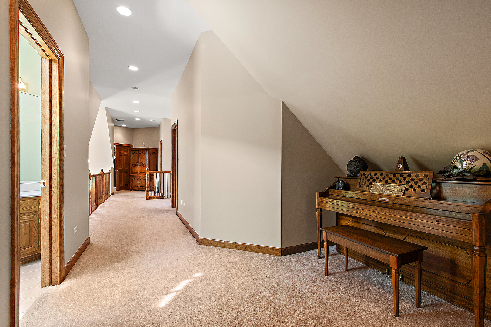19305 South Parker Road Mokena, IL 60448 - Photo 41 of 61