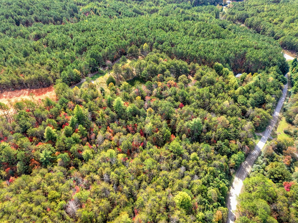 29.40-ac 29.40-ac Bethlehem Road Copperhill, TN 37317 - Photo 11 of 19 view of a yard with an outdoor space