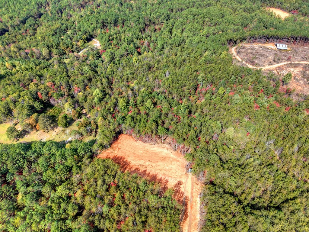 29.40-ac 29.40-ac Bethlehem Road Copperhill, TN 37317 - Photo 12 of 19 a view of a yard with a tree