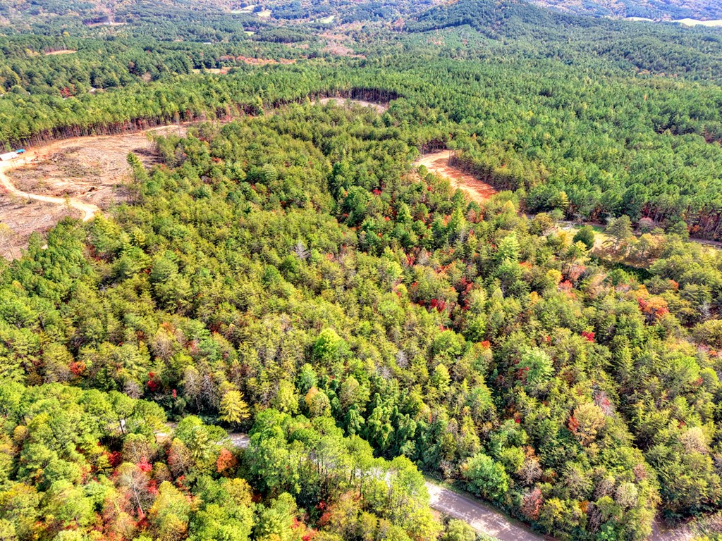 29.40-ac 29.40-ac Bethlehem Road Copperhill, TN 37317 - Photo 14 of 19 a view of a large yard with lots of green space