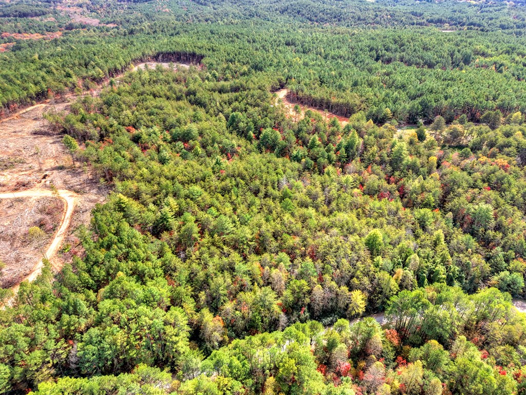29.40-ac 29.40-ac Bethlehem Road Copperhill, TN 37317 - Photo 15 of 19 a view of a large yard with lots of plants