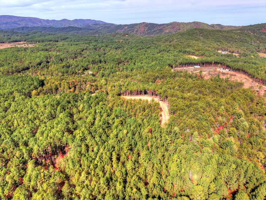 29.40-ac 29.40-ac Bethlehem Road Copperhill, TN 37317 - Photo 16 of 19 a view of an outdoor space and a mountain