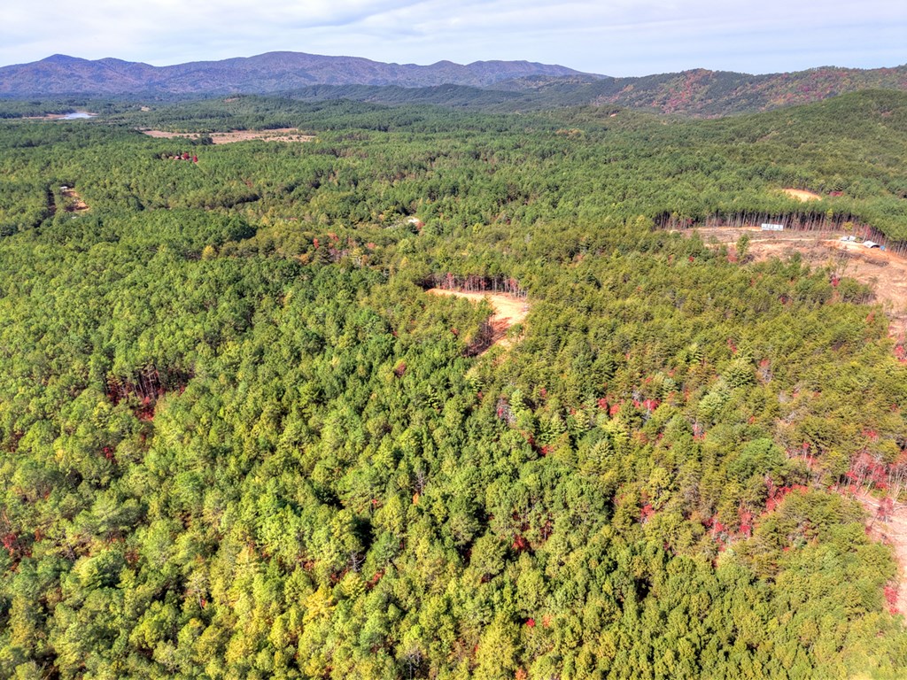 29.40-ac 29.40-ac Bethlehem Road Copperhill, TN 37317 - Photo 17 of 19 a view of a lush green hillside and a houses