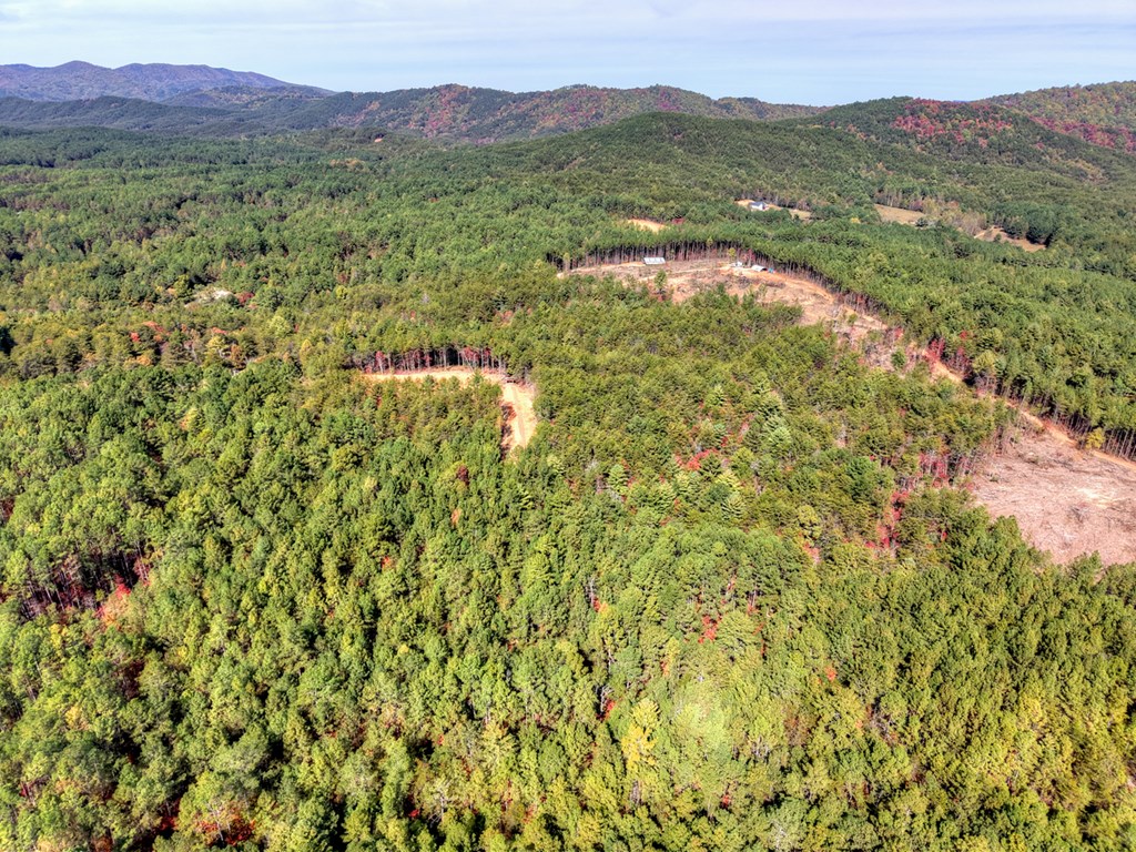 29.40-ac 29.40-ac Bethlehem Road Copperhill, TN 37317 - Photo 18 of 19 a view of an outdoor space and a mountain