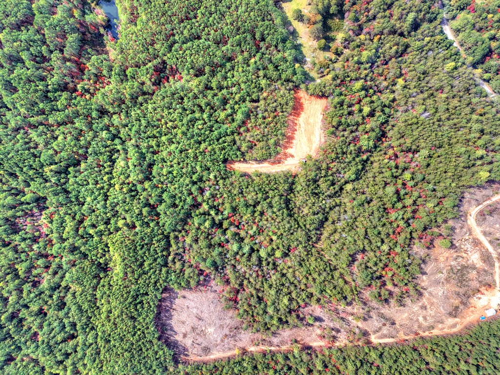 29.40-ac 29.40-ac Bethlehem Road Copperhill, TN 37317 - Photo 19 of 19 a view of a garden