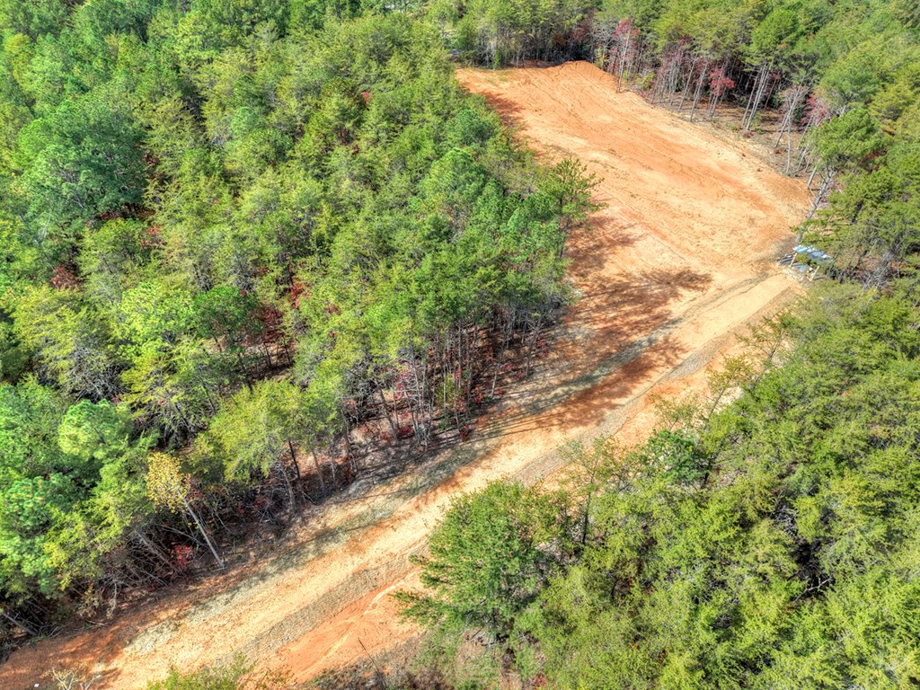 29.40-ac 29.40-ac Bethlehem Road Copperhill, TN 37317 - Photo 2 of 19 a view of a yard with plants and trees