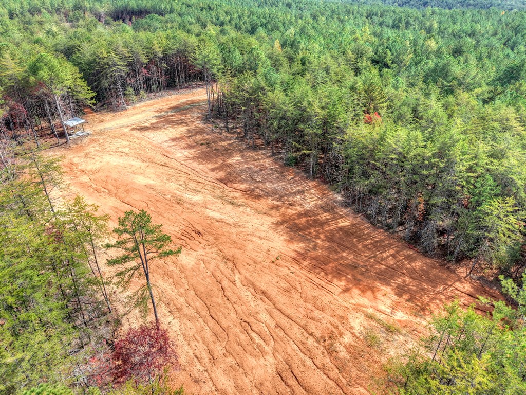 29.40-ac 29.40-ac Bethlehem Road Copperhill, TN 37317 - Photo 3 of 19 a view of a yard with plants and trees