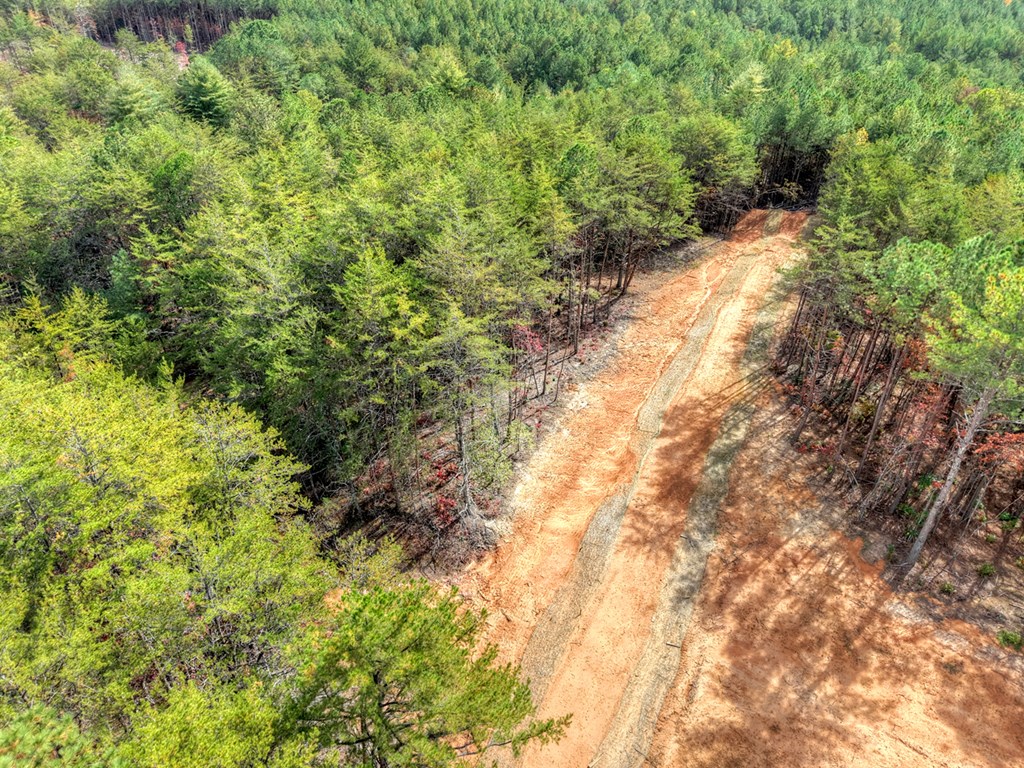 29.40-ac 29.40-ac Bethlehem Road Copperhill, TN 37317 - Photo 4 of 19 a view of a yard with a tree