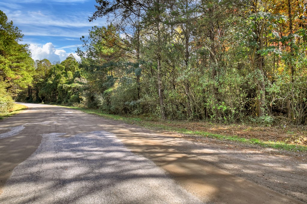 29.40-ac 29.40-ac Bethlehem Road Copperhill, TN 37317 - Photo 8 of 19 a view of a yard with a tree