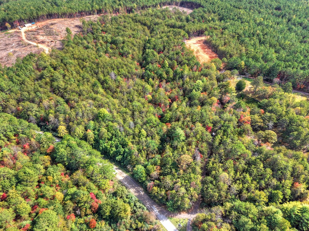 29.40-ac 29.40-ac Bethlehem Road Copperhill, TN 37317 - Photo 10 of 19 a backyard of a house with lots of green space