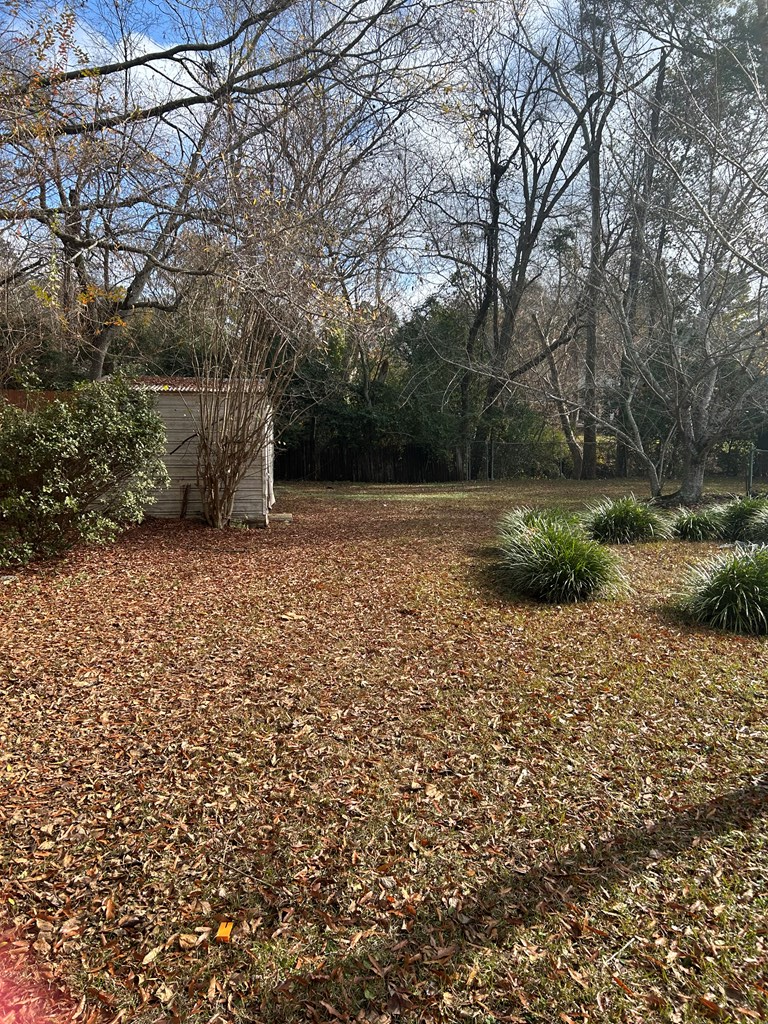 4032 Pickering Drive Columbus, GA 31907 - Photo 32 of 35 a view of backyard with outdoor space