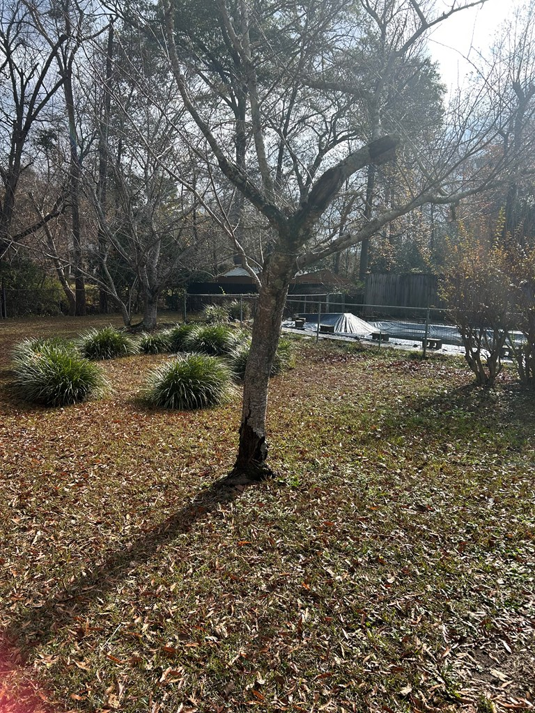 4032 Pickering Drive Columbus, GA 31907 - Photo 33 of 35 a view of a yard with plants and trees