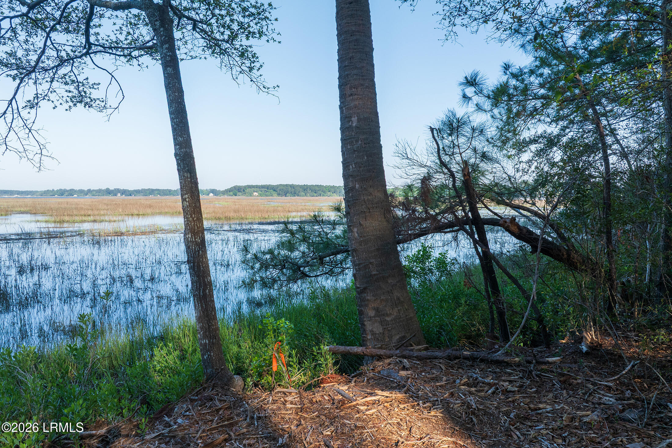509 State Rd S-7-50 Okatie, SC 29909 - Photo 22 of 24 DJI_20260514083837_0052_D copy